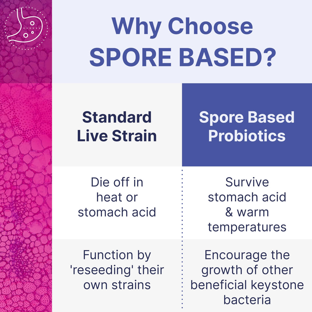 MegaSporeBiotic Probiotics – Spore-Based Digestive Support for Women & Men (180 Capsules)