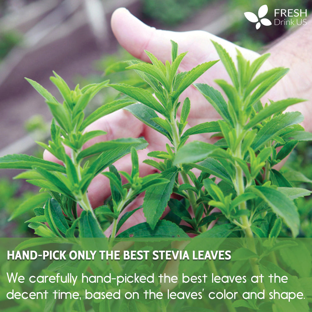 Stevia Leaf Tea Bags, 100% Natural & Pure Stevia leaves, Eco-Conscious Tea Bags, Stevia Herbal Tea. Stevia Leaf Tea. No Sugar, No Caffeine, No Gluten, Vegan